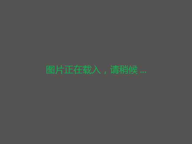 吉林吉林丰满8.26亩商业工业用地转让，50年年限，转让费30000000万元